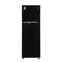 Tủ Lạnh Samsung 256 Lít Inverter RT25M4032BU/SV