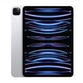 iPad Pro M2 11 inch WiFi + 5G 128GB