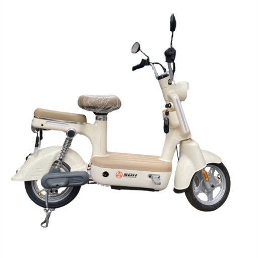 XE ĐẠP ĐIỆN SHUNQIHANG 350W