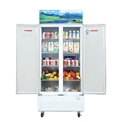 Tủ Mát Sanaky 2 Cửa 800 Lít VH-8009HP
